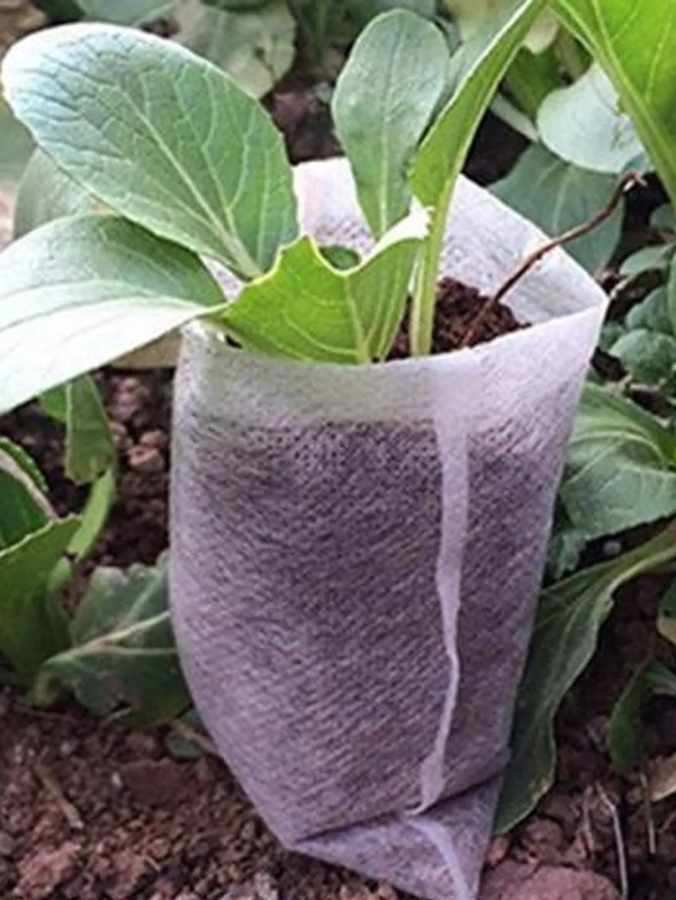 100pcs Plain Plant Grow Bag